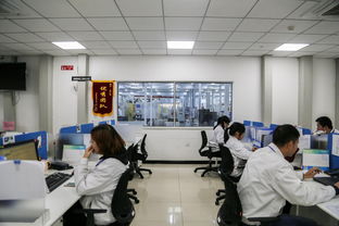 聚焦蔡甸中德产业园 探访先进制造业集聚区与技术开发新亮点